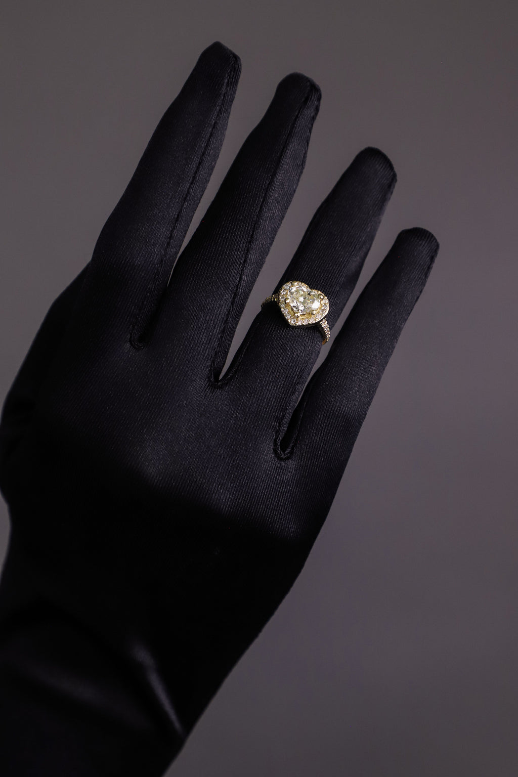 Anillos